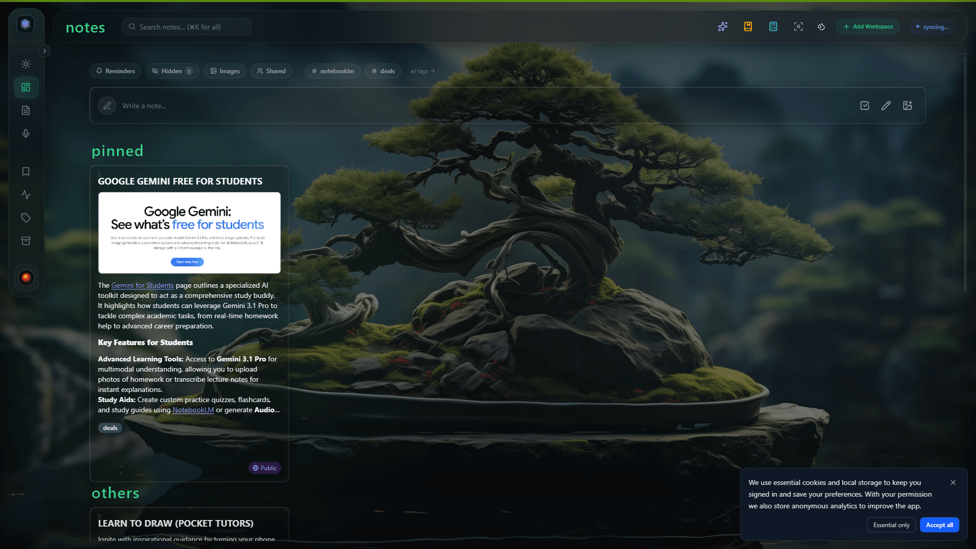 Glassy workspace — the same environment Clear members share and build in