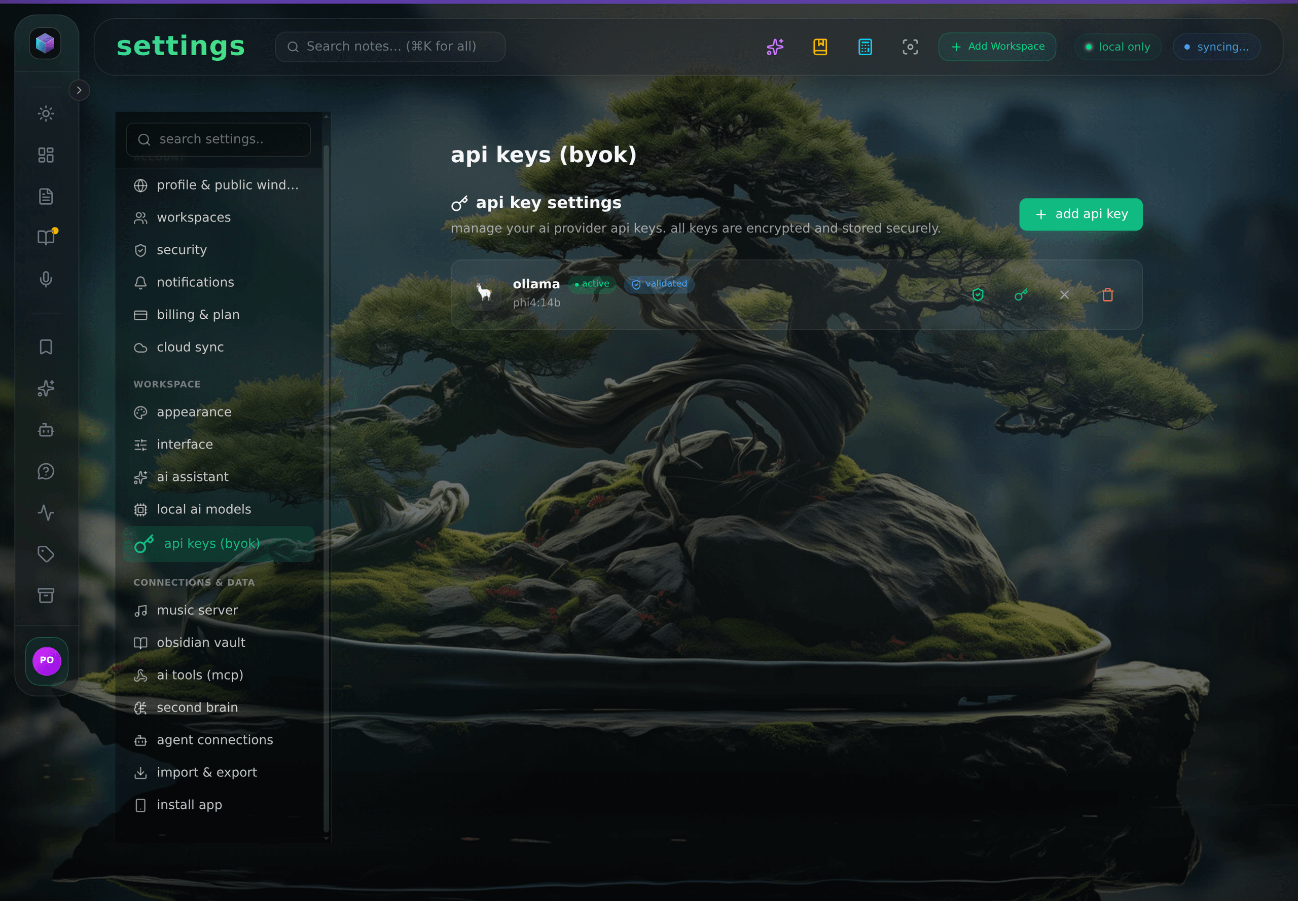 API keys settings: a named Ollama provider with a validated, masked key.