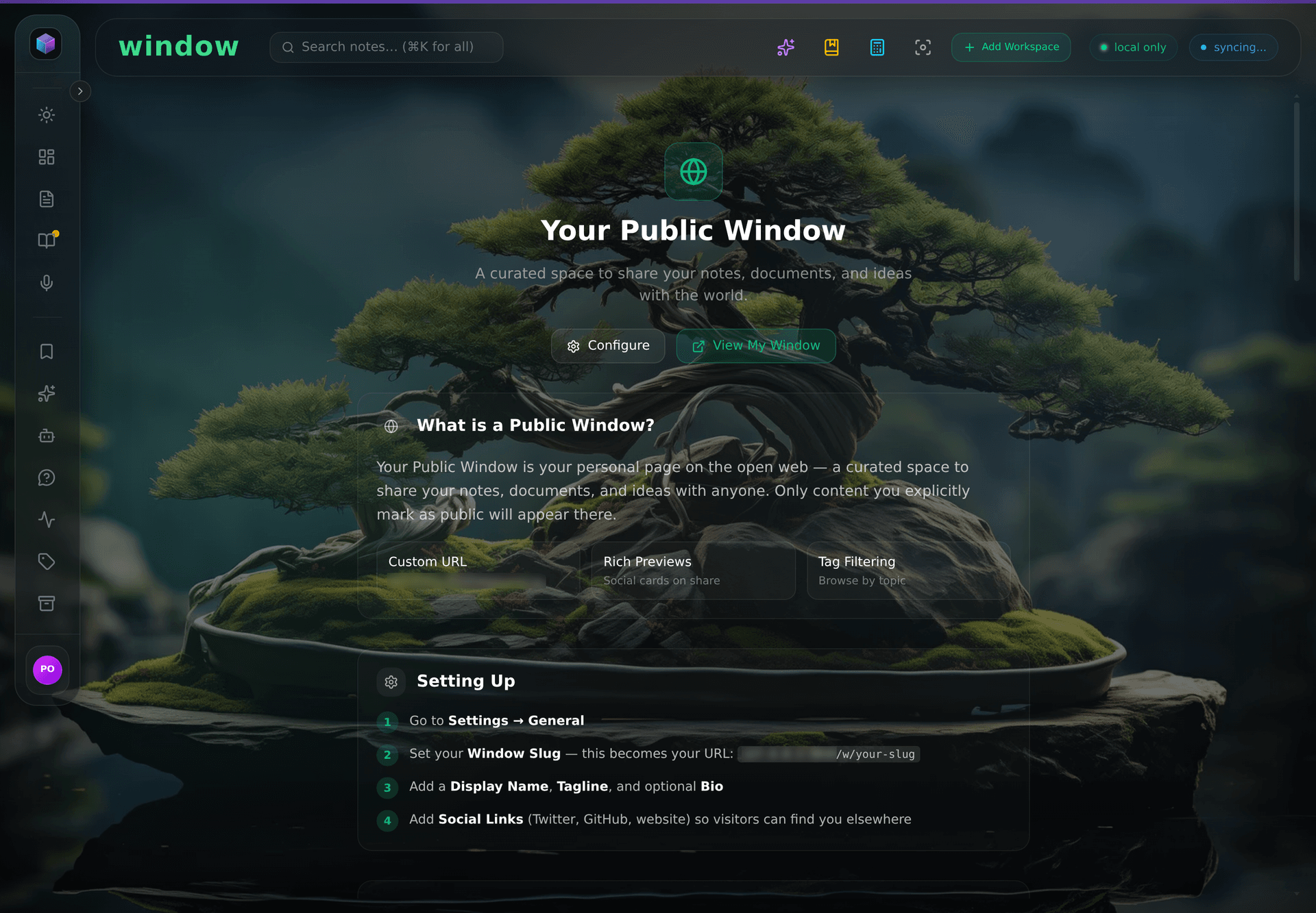 Your Public Window: Configure and View My Window, an explanation, and the Custom URL, Rich Previews, and Tag Filtering controls.